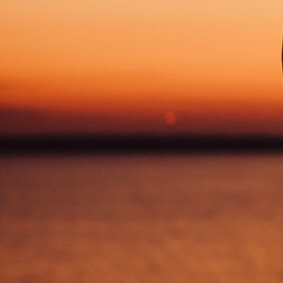 Meet your Posher, Sam - Picture 1 of 1